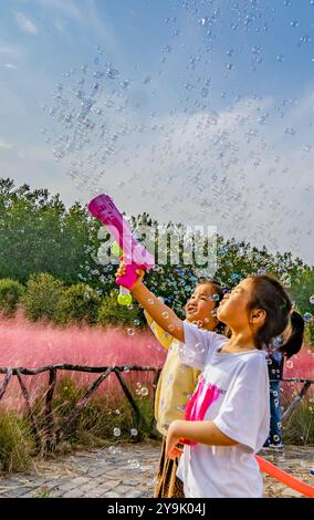 SUQIAN, CHINA - OCTOBER 10, 2024 - Tourists play in a pink a grass in Suqian, Jiangsu province, China, Oct 10, 2024. Stock Photo