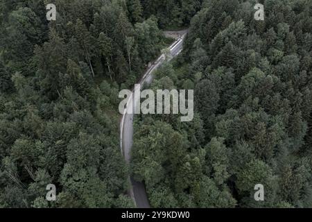 Dark mixed forest from above, with road, drone shot, Upper Bavaria, Bavaria, Germany, Europe Stock Photo