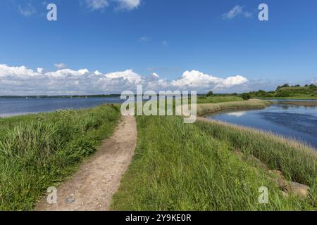Small Noor in the nature reserve Holnis peninsula, nature reserve on the Flensburg Fjord, German, Danish border area, hiking trail, inland lake with c Stock Photo