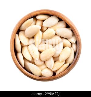 Freshly blanched almonds in a wooden bowl. Shelled almonds that have been treated with hot water to soften the seed coat, which is then removed. Stock Photo