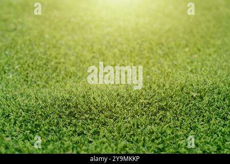 Artificial green grass digital backdrop with sunlight. Bokeh or blurred foreground and background. Suitable for design and product presentation. Stock Photo