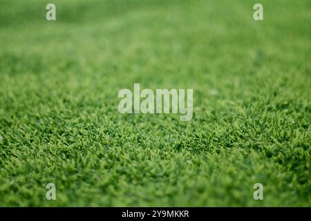 Artificial green grass digital backdrop with bokeh foreground and background. Suitable for design and product presentation. Stock Photo