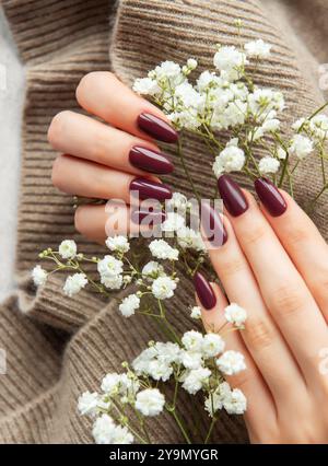 A hand with long, deep burgundy nails gently holds fresh white flowers resting on a soft knitted sweater. The warm texture and color contrast beautifu Stock Photo