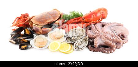 Fresh raw octopus and different sea food isolated on white Stock Photo