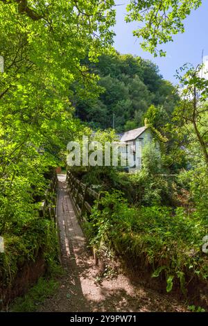 The footbridge over the East Lyn River at Rockford in the Brendon Valley, Exmoor National Park, Devon, England. Stock Photo