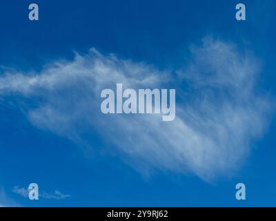 Blue sky with veil clouds background texture Stock Photo