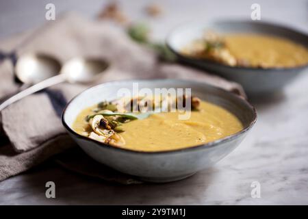 Roasted cauliflower soup served in two grey ceramic bowls topped with toasted cashews and pumpkin seeds. Stock Photo