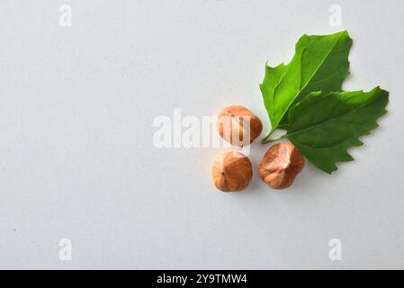 Three shelled hazelnuts and two leaves isolated on white background. Top view. Stock Photo