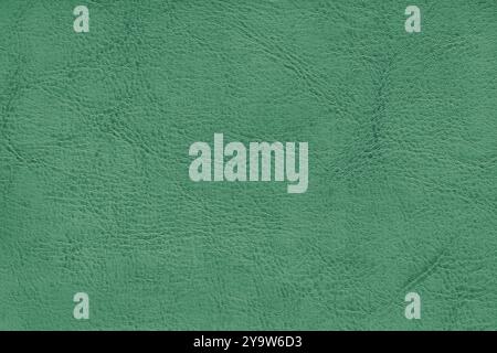 Natural, genuine green leather texture close up, macro. Structure of matte leatherette, artifical skin surface with embossing pattern. Background, wal Stock Photo