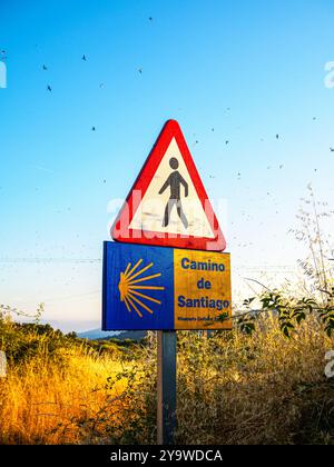 Iconic yellow scallop shell, symbols of the Camino de Santiago, on a modern blue signpost, guiding pilgrims on their journey. Stock Photo