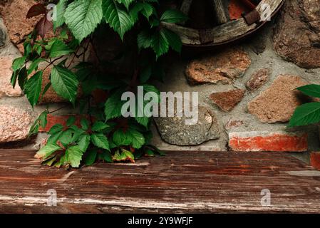 Empty old wooden table against green leaves and stone wall. Background Stock Photo