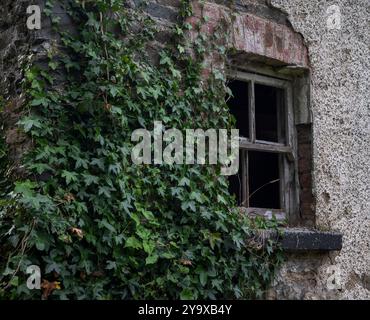 The wall of an abandoned, industrial building shows crumbling stone and brick, flanked by climbing ivy, evoking a sense of decay and neglect. Photo ta Stock Photo