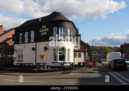 The Golden Lion Pub on Alderson Road Sheffield England Inner city public house British street corner pub Stock Photo