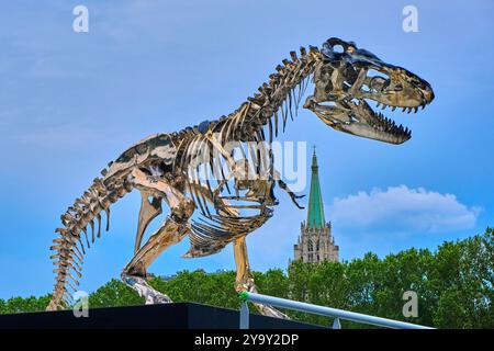 France, Paris, UNESCO World Heritage Site, Port de la Conference, Chromed aluminum skeleton of Tyrannosaurus rex composed of 350 bones molded from the original bones of a dinosaur exhibited in China, sculpture by Philippe Pasqua placed on the platform of the Compagnie des Bateaux-mouche on the banks of the Seine Stock Photo