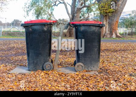 Photograph of two council rubbish bins placed side by side in a public park. The bins are designed for waste disposal. Stock Photo