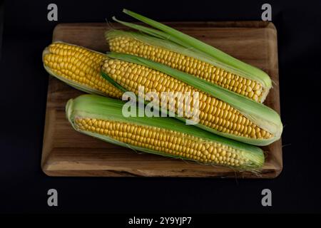 Freshly harvested corn cobs with husks placed on a wooden cutting board, ready for cooking on dark background. Concept of healthy food, organic farmin Stock Photo