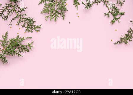Composition with Thuja branches branches and confetti on pink background. Top view Stock Photo