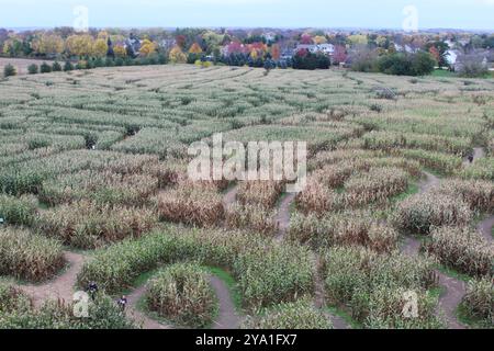 Richardson Adventure Farm World's Largest Corn Maze in autumn in Spring Grove, Illinois Stock Photo