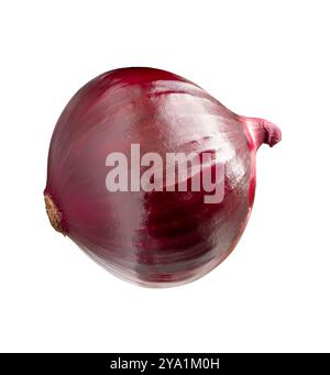 Top view of big red or purple onion bulb in half is isolated on white ...