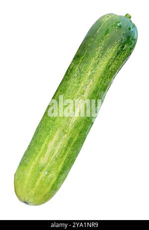 Top view of fresh long green cucumber is isolated on white background with clipping path. Stock Photo