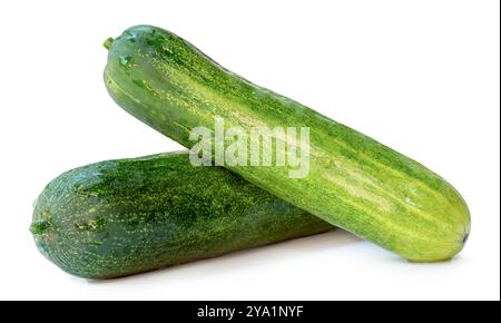 Side view of fresh long green cucumbers in stack is isolated on white background with clipping path. Stock Photo