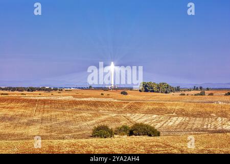 A solar tower rises above golden fields under a clear blue sky, solar thermal power plant PS10, Sanlucar la Mayor, near Seville Stock Photo