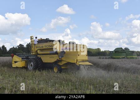 Combine harvester harvesting rapeseed, Germany, Europe Stock Photo