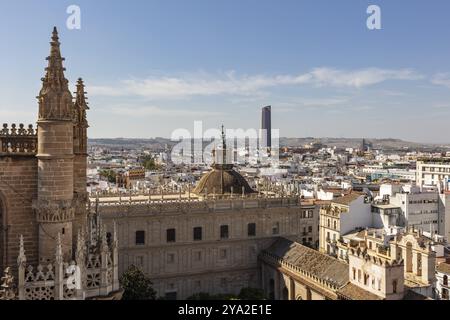 View of the Gothic cathedral in front of the cityscape under a blue sky, Seville Stock Photo