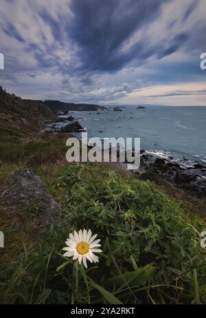 A beautiful shot of a rocky shore in the cloudy sky Stock Photo - Alamy