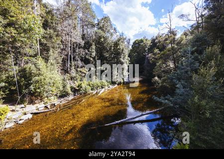 STYX VALLEY, AUSTRALIA, FEBRUARY 20 2024: Landscape of the Styx River area of the Styx Valley near Maydena in Southwest National Park, Tasmania, Austr Stock Photo