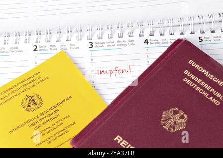 Vaccination card and passport with date of vaccination Stock Photo