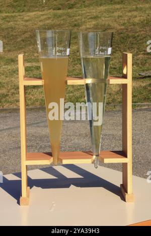 Experimental setup to determine the settling behaviour in the inlet and ...