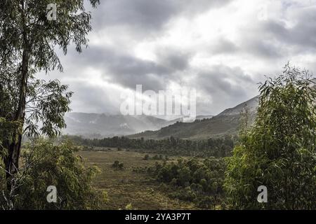 The picturesque Gordon River Rd at the Sentinel range of mountains near Bitumen Bones Sculpture on a cool wet summer's morning in Southwest National P Stock Photo