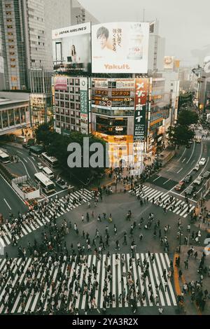 TOKYO, JAPAN, MAY 12, 2019, Shibuya Crossing is one of the world's most used pedestrian crossings, in central Tokyo, Japan, Asia Stock Photo