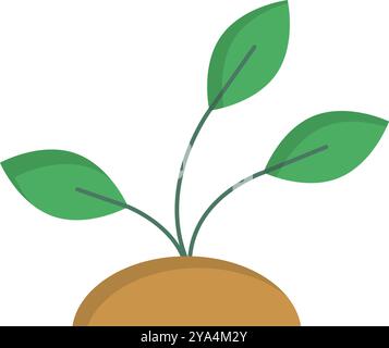 young plant growing from the soil with cross section of roots; spring ...
