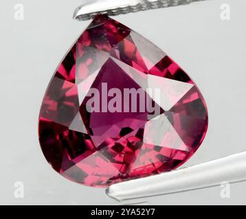 Exquisite Teardrop-Shaped Ruby Gemstone Displayed with Precision Stock ...