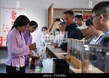 (241012) -- XIANGZHOU, Oct. 12, 2024 (Xinhua) -- Feng Kangchong (1st L) makes tea drinks for customers in Sigao Village, Miaohuang Township of Xiangzhou County, Laibin City of south China's Guangxi Zhuang Autonomous Region, Oct. 10, 2024.  Feng Kangchong, born in 1989, is a representative inheritor of the Gupa tea-making skills. Hailing from Gupa Village of Xiangzhou County in south China's Guangxi, Feng has been involved with tea-making from an early age.    Tea cultivation is a tradition of Xiangzhou that has lasted over 1,300 years, while Gupa tea, named after its place of origin, Gupa Vill Stock Photo