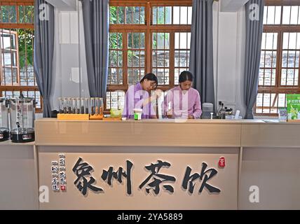 (241012) -- XIANGZHOU, Oct. 12, 2024 (Xinhua) -- Feng Kangchong (R) prepares tea drinks in Sigao Village, Miaohuang Township of Xiangzhou County, Laibin City of south China's Guangxi Zhuang Autonomous Region, Oct. 10, 2024.  Feng Kangchong, born in 1989, is a representative inheritor of the Gupa tea-making skills. Hailing from Gupa Village of Xiangzhou County in south China's Guangxi, Feng has been involved with tea-making from an early age.    Tea cultivation is a tradition of Xiangzhou that has lasted over 1,300 years, while Gupa tea, named after its place of origin, Gupa Village, has a hist Stock Photo