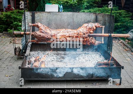 Traditional Outdoor Spit-Roasting of a Whole Lamb Over Open Flames. Stock Photo