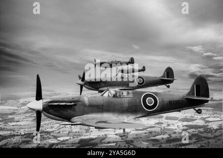 A flight of Supermarine Seafires, a naval version of the Supermarine Spitfire fighter adapted for operation from aircraft carriers. The first operationally-viable Seafire, the  F Mk.III variant became available in 1942, which led to widespread use with the Fleet Air Arm. It first saw combat in November 1942 during Operation Torch, the Allied landings in North Africa, then provided air cover for the Allied invasion of Sicily and Italy. During 1944, large numbers provided air support to ground forces during the Normandy landings, later joining the British Pacific Fleet. Stock Photo