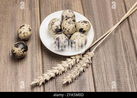 Quail eggs on white saucer. Spikelets of wheat and two eggs on table. Wooden background. Top view. Stock Photo