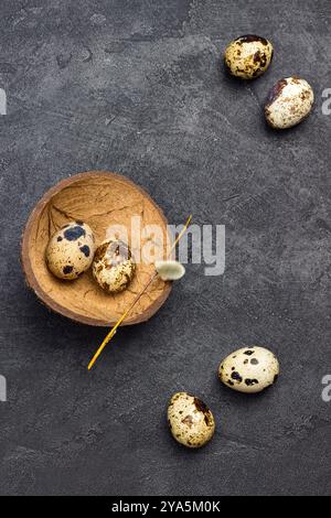 Quail eggs on table. Two eggs in coconut shell. Black background. Flat lay. Copy space Stock Photo