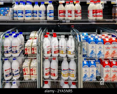 Italy - October 12, 2024: Fresh cow and goat milk in plastic bottles and cartons displayed for sale on the refrigerated counter in Italian supermarket Stock Photo