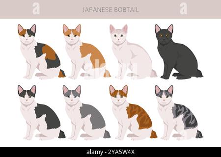 Japanese bobtail cat clipart. All cat breeds characteristics infographic. Vector illustration Stock Vector