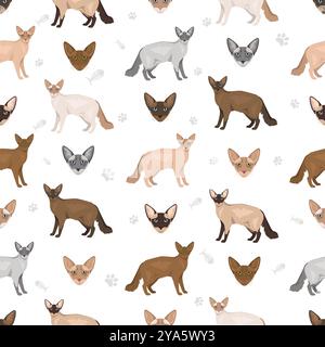 Javanese cat seamless pattern. Colorpoint Longhair cats all coat colors set.  All cat breeds characteristics infographic. Vector illustration Stock Vector