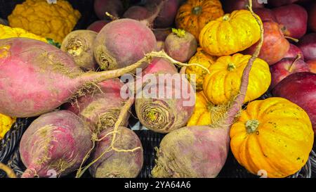 Vegetables on the counter in the store. Radish on the shelves. Beetroot Stock Photo