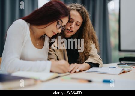 Two students collaborating during a classroom study session Stock Photo