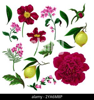 Peonies, lemons and other flowers isolated. Vector. Stock Vector