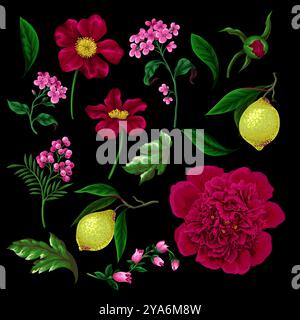 Peonies, lemons and other flowers isolated. Vector. Stock Vector