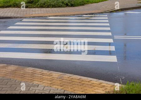 Wet pedestrian crosswalk after rain on an empty street with reflection of nearby buildings. Concept of urban safety and transportation Stock Photo